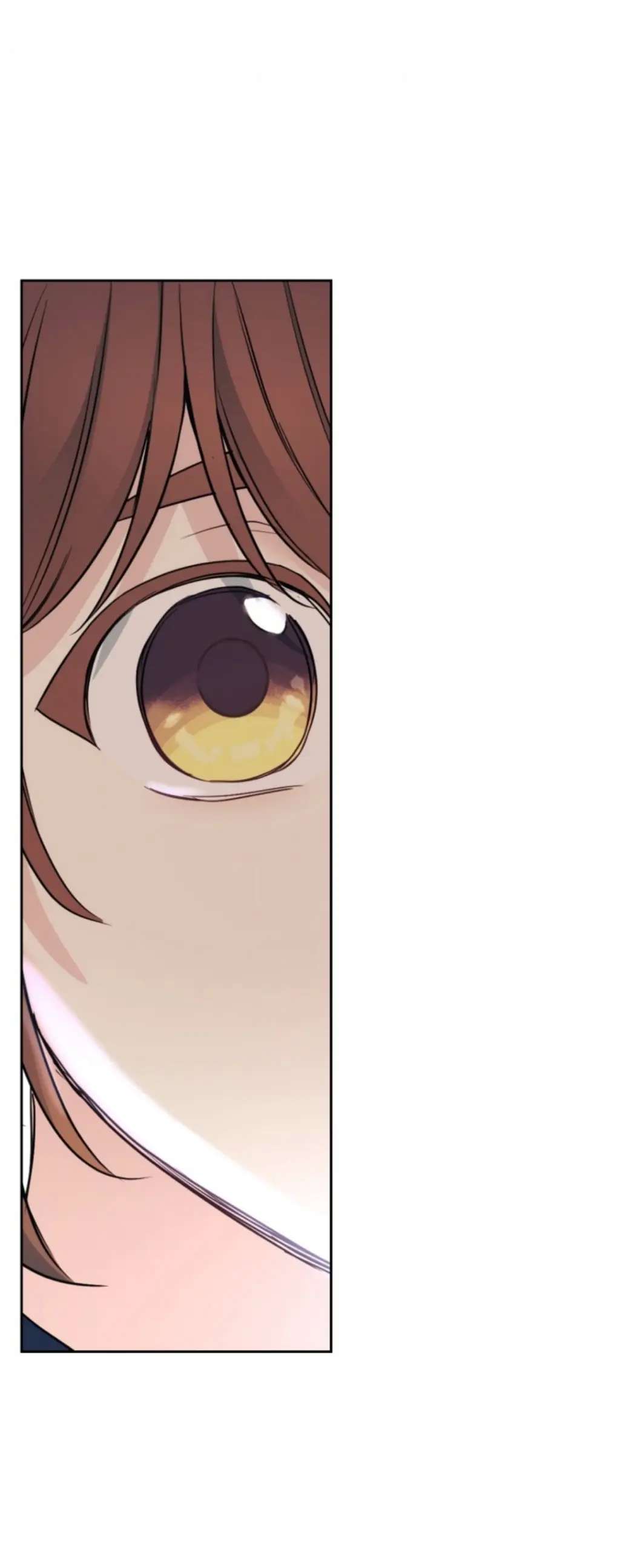 Read Inso's Law Manga Online