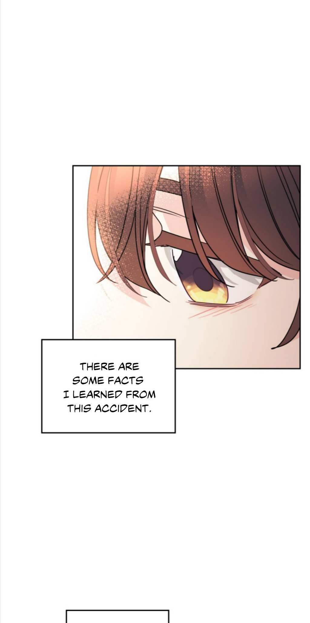 Read Inso's Law Manga Online