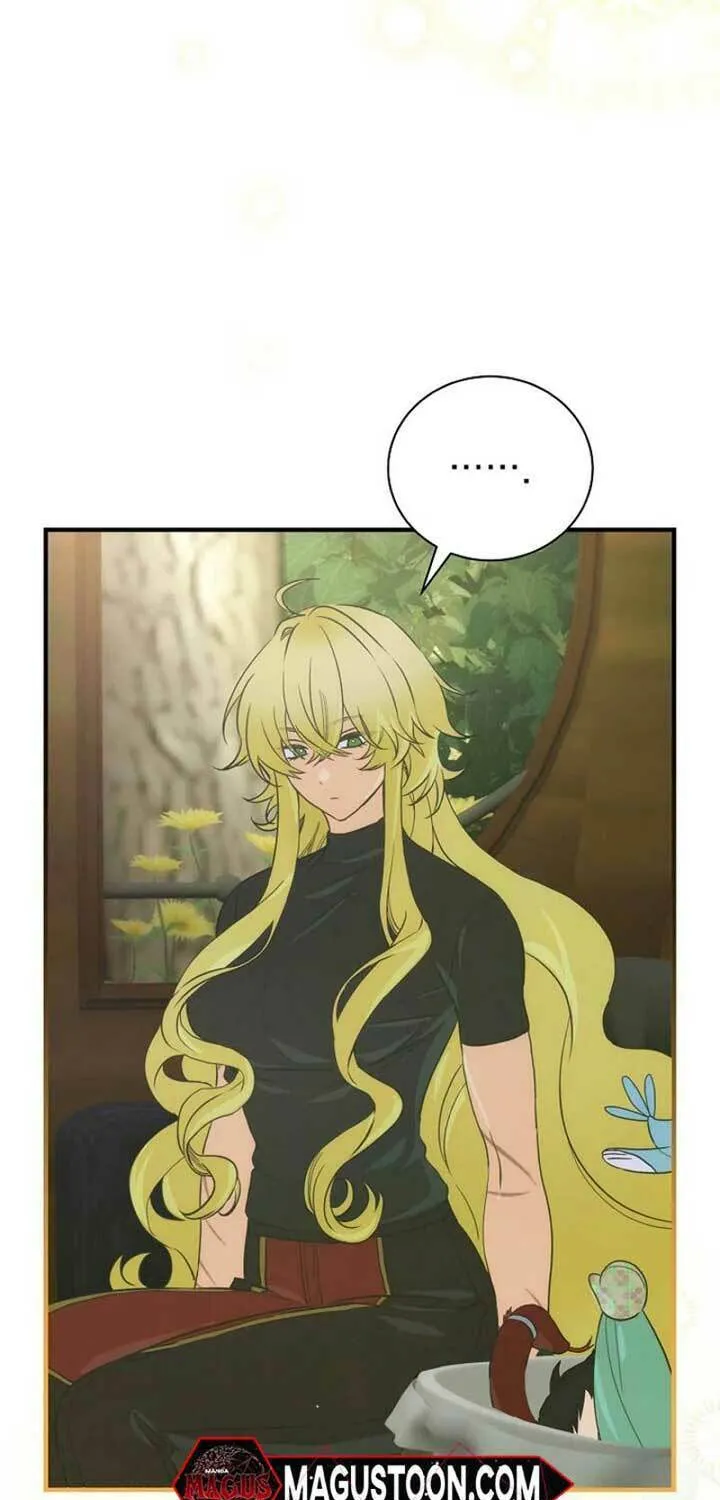 Read It’s Not Your Baby! Manga Online