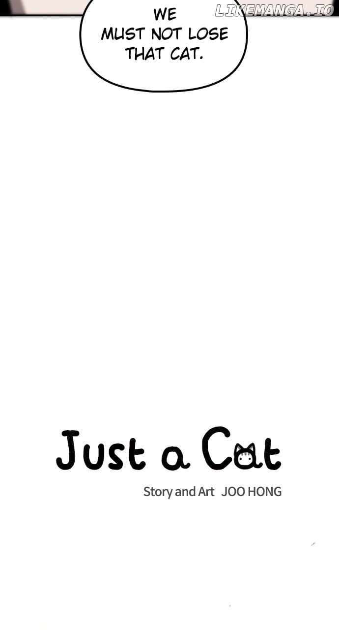 Read Just a Cat Manga Online
