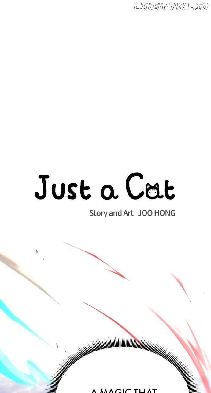 Read Just a Cat Manga Online