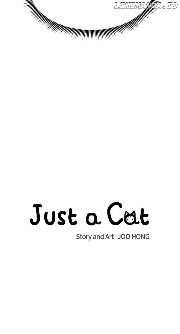 Read Just a Cat Manga Online