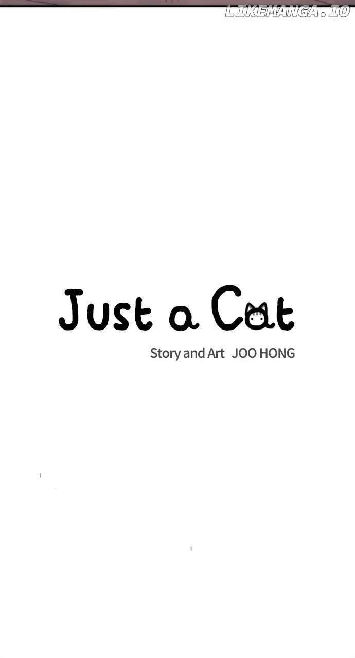 Read Just a Cat Manga Online