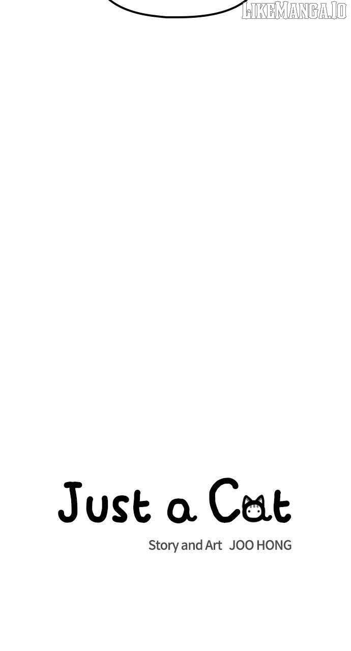 Read Just a Cat Manga Online