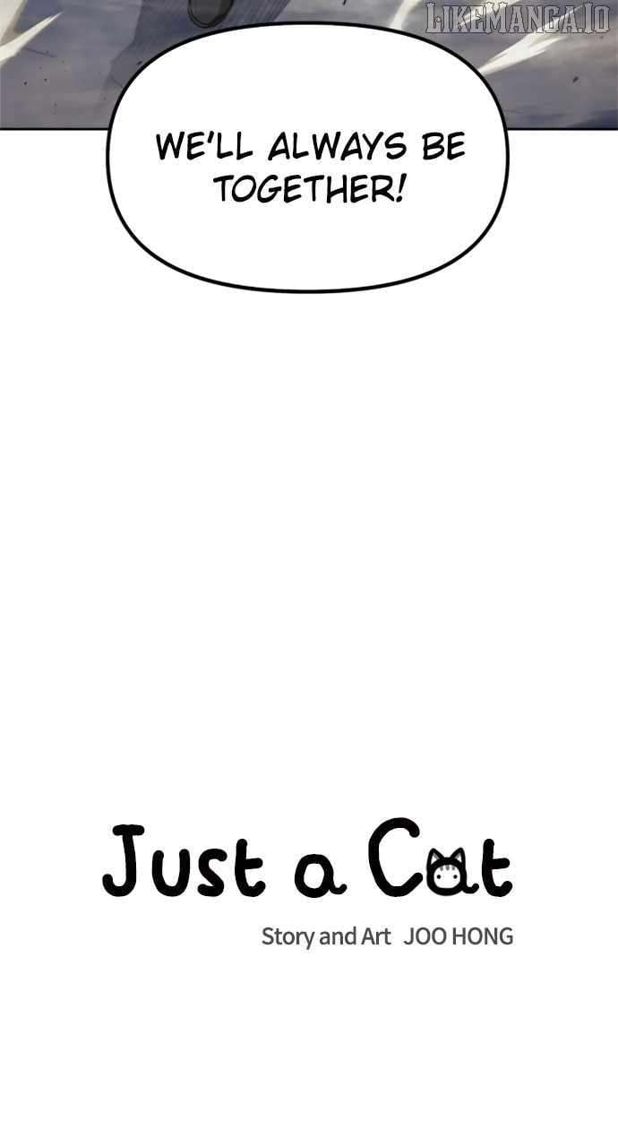 Read Just a Cat Manga Online