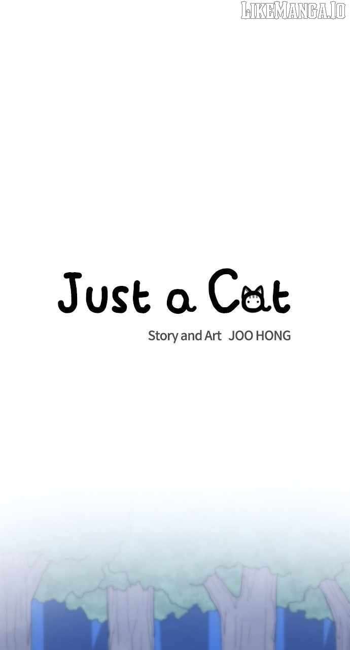 Read Just a Cat Manga Online