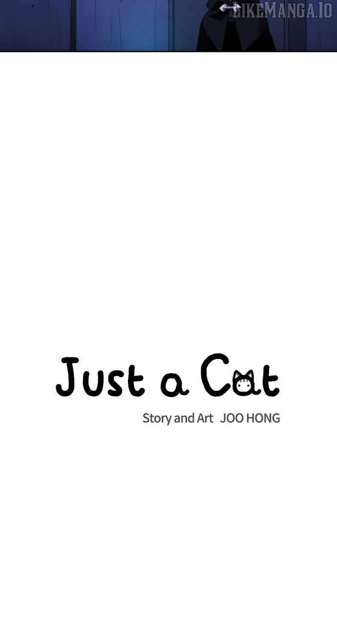 Read Just a Cat Manga Online