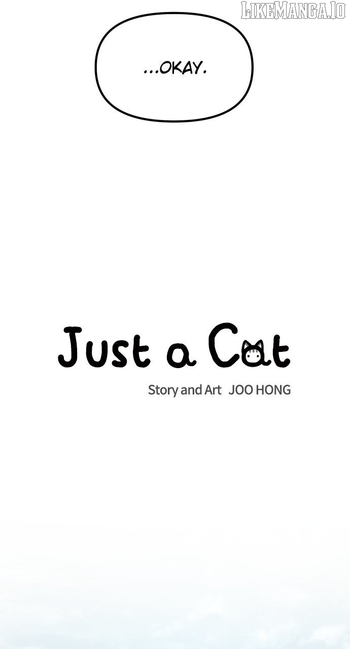Read Just a Cat Manga Online