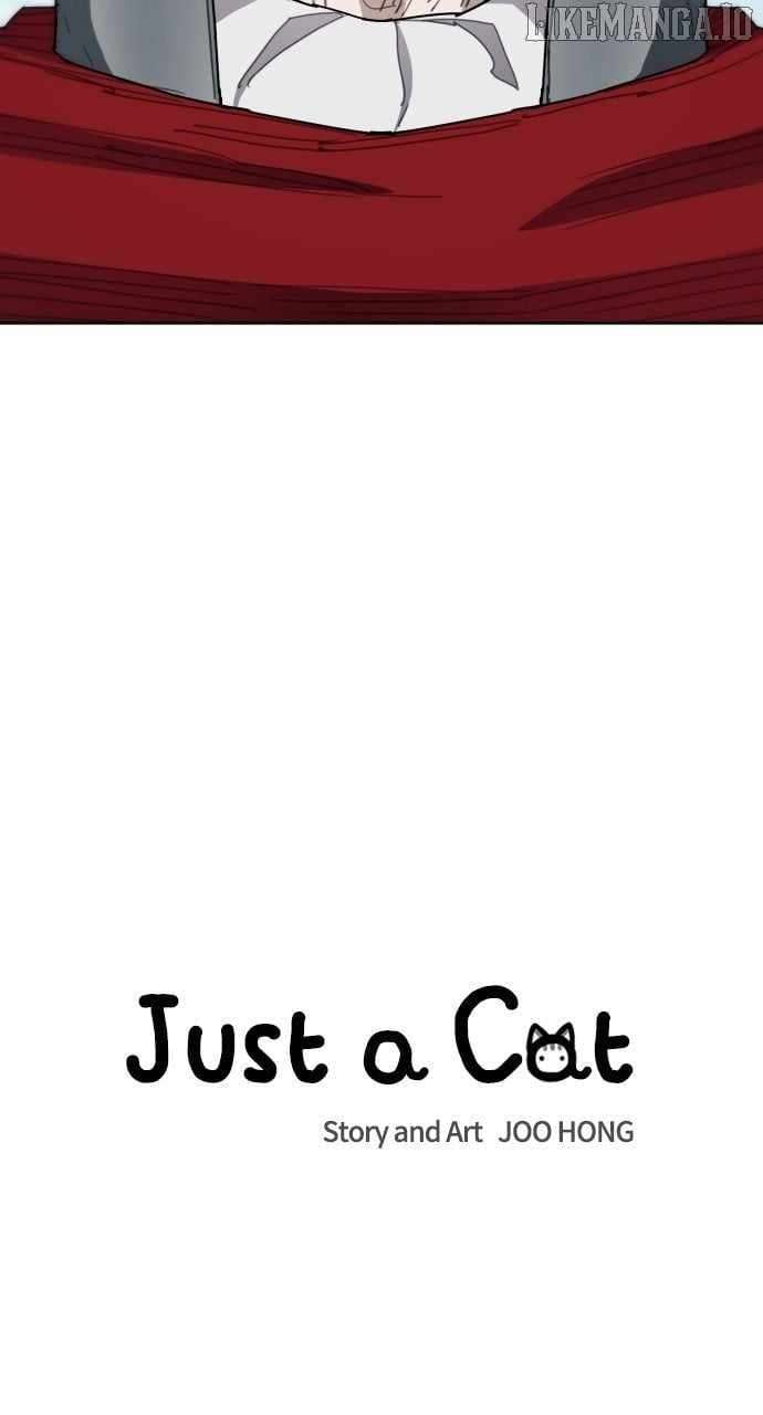 Read Just a Cat Manga Online