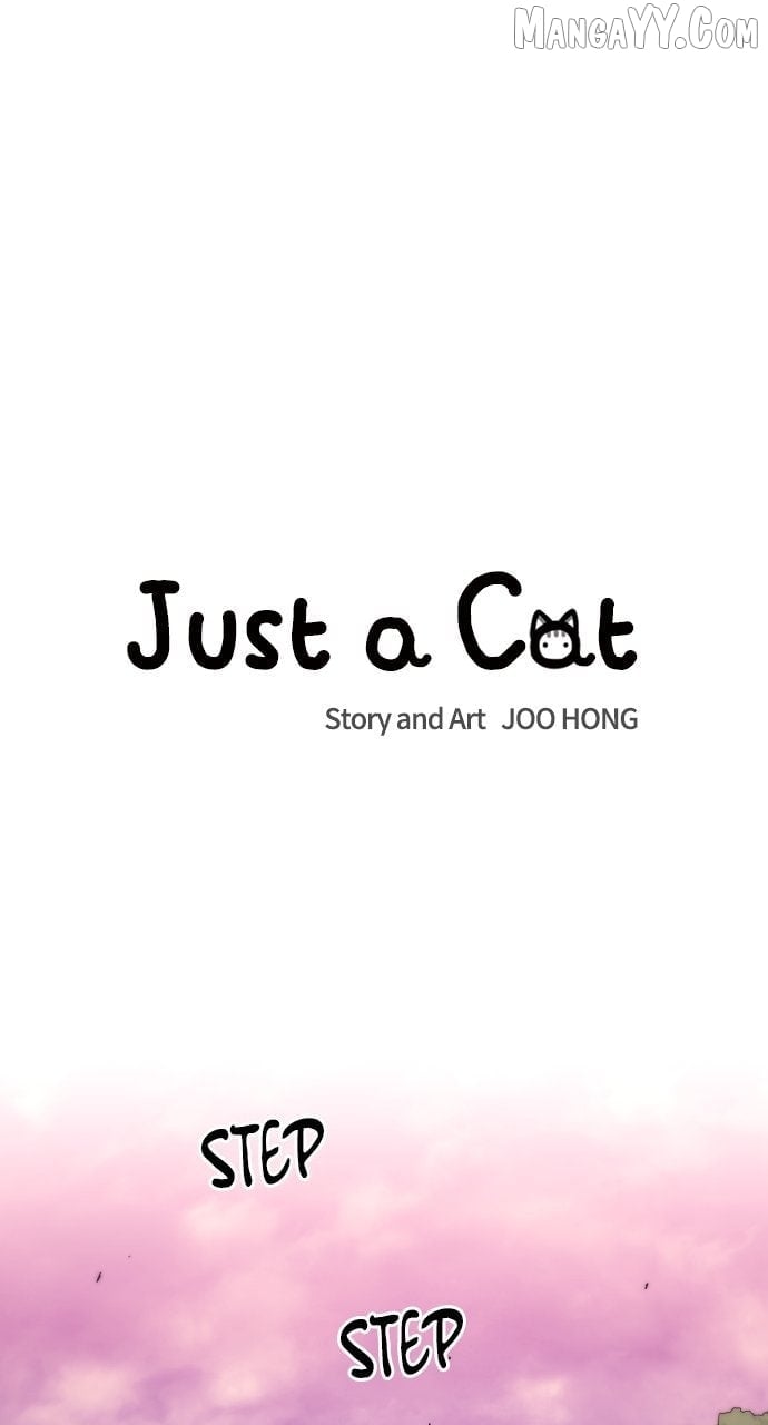 Read Just a Cat Manga Online