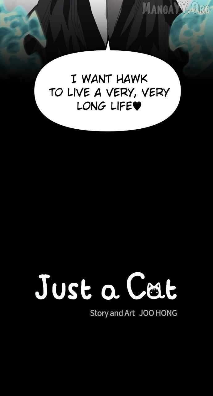 Read Just a Cat Manga Online