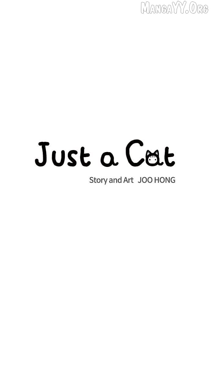Read Just a Cat Manga Online