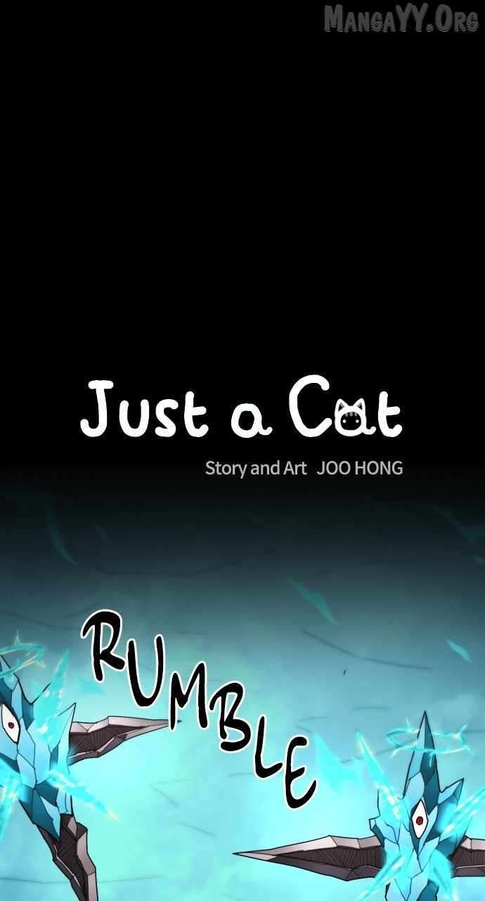 Read Just a Cat Manga Online