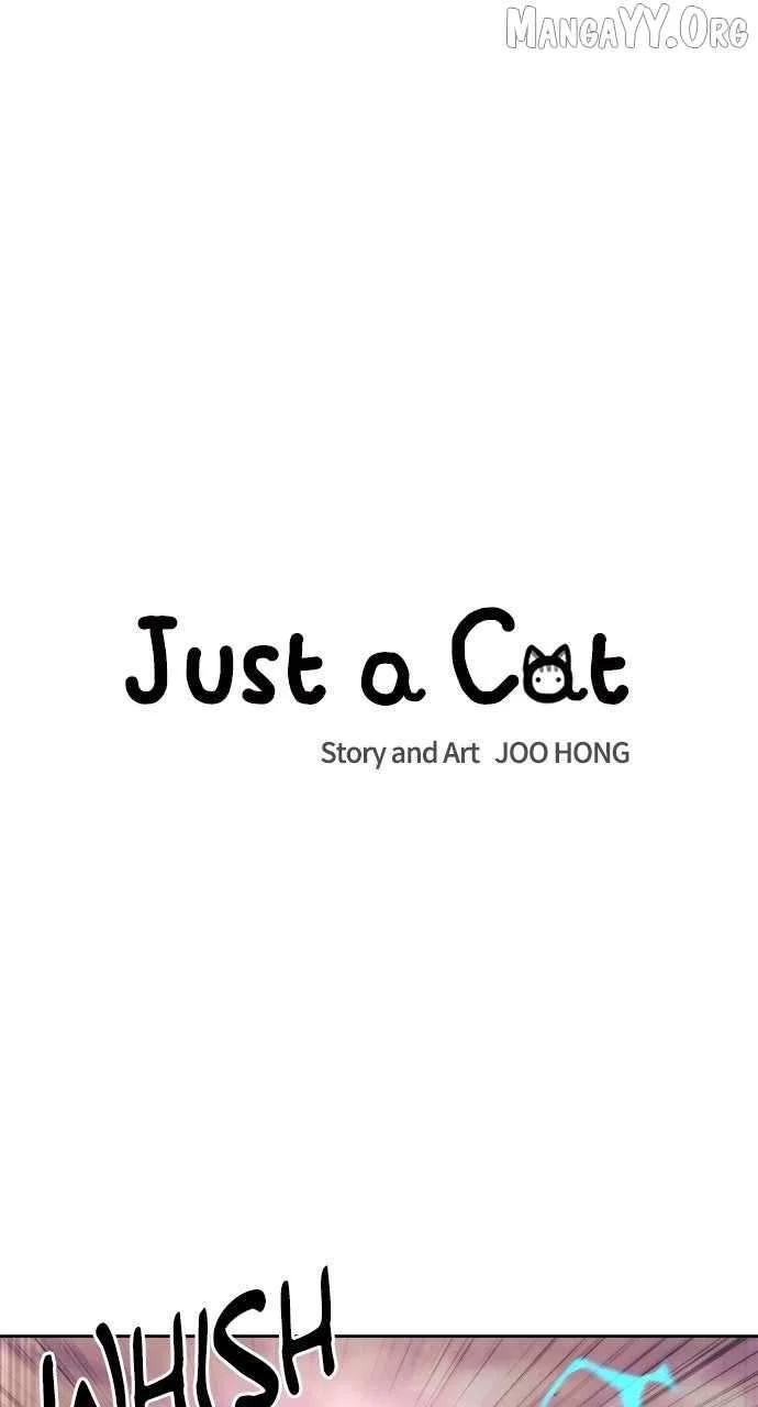Read Just a Cat Manga Online