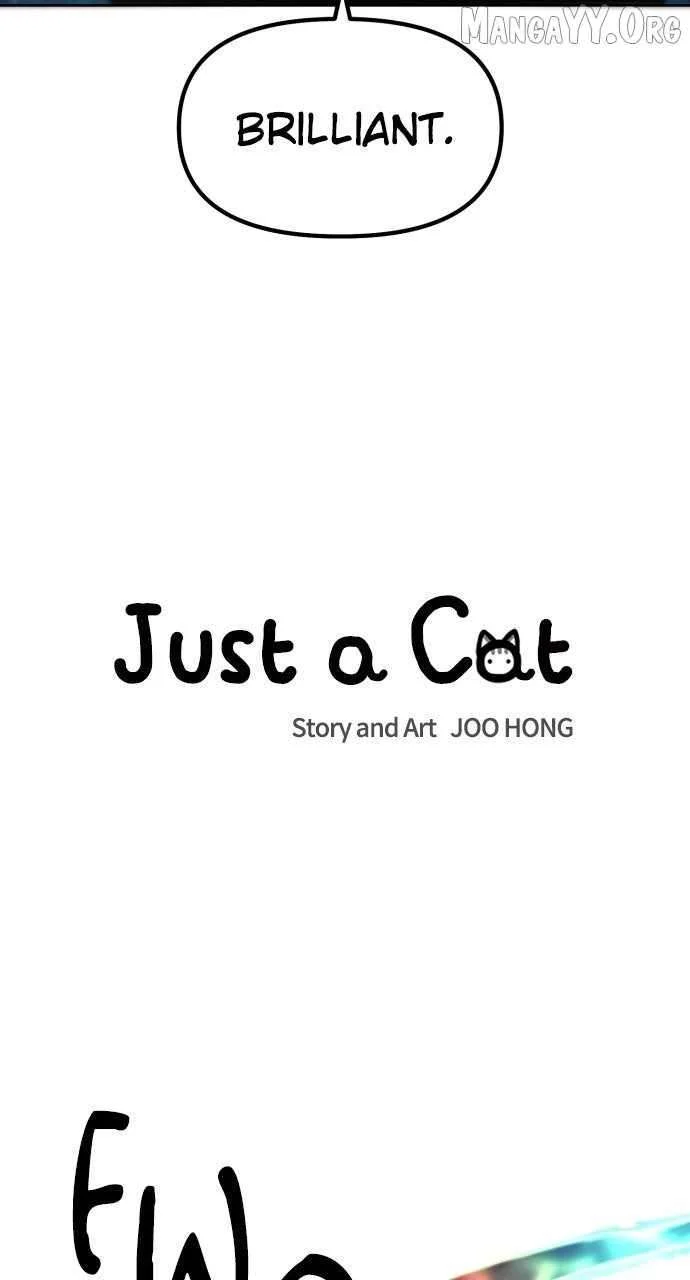 Read Just a Cat Manga Online
