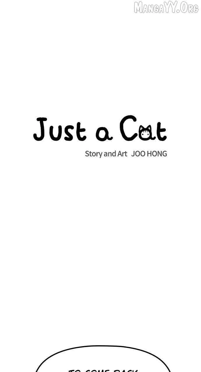 Read Just a Cat Manga Online