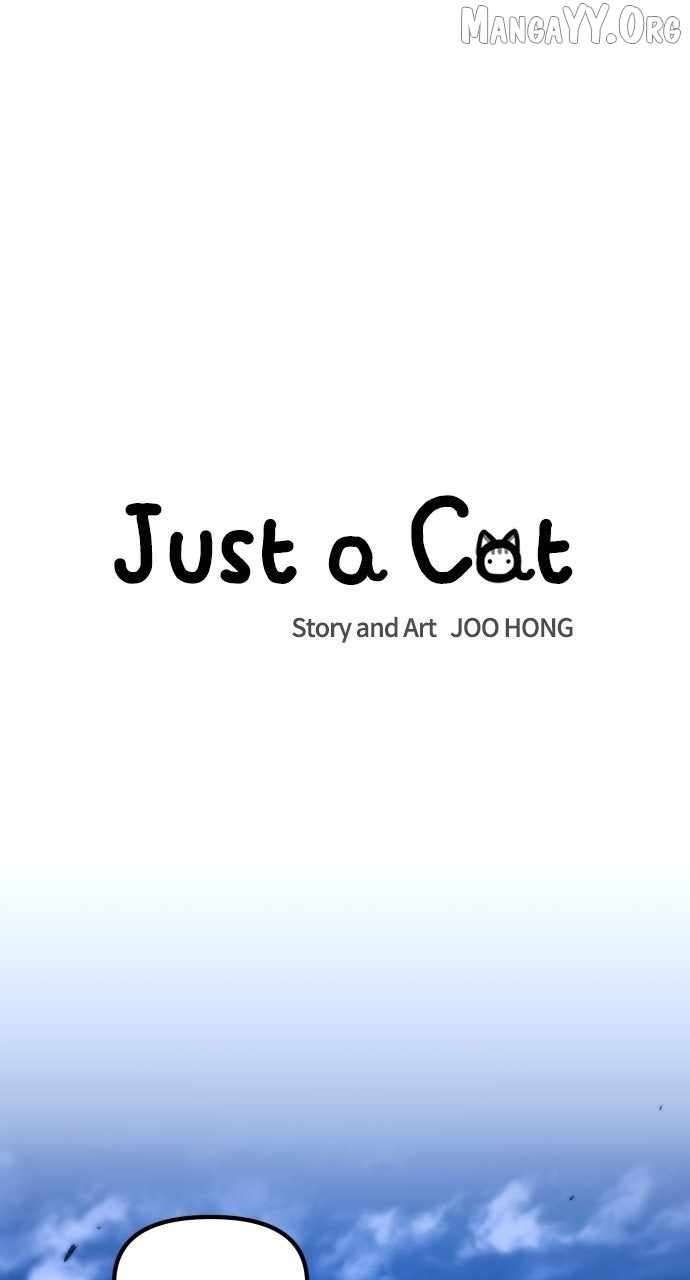 Read Just a Cat Manga Online