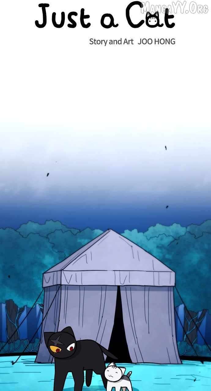 Read Just a Cat Manga Online