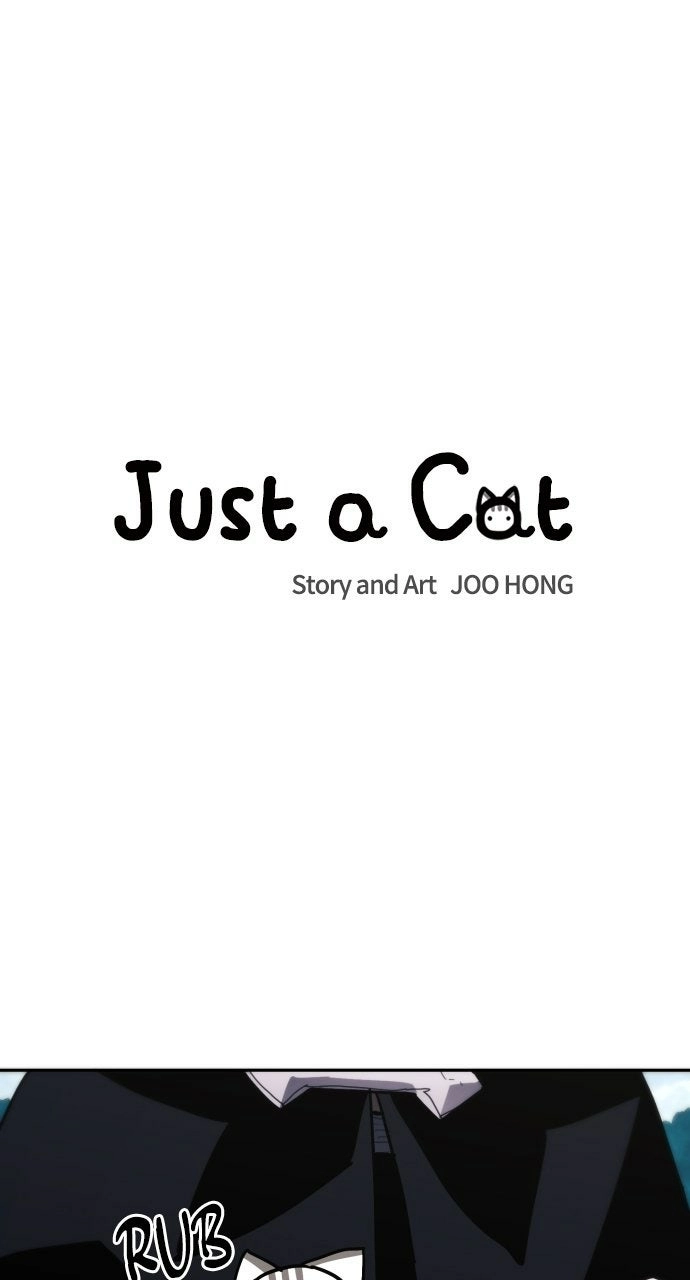 Read Just a Cat Manga Online