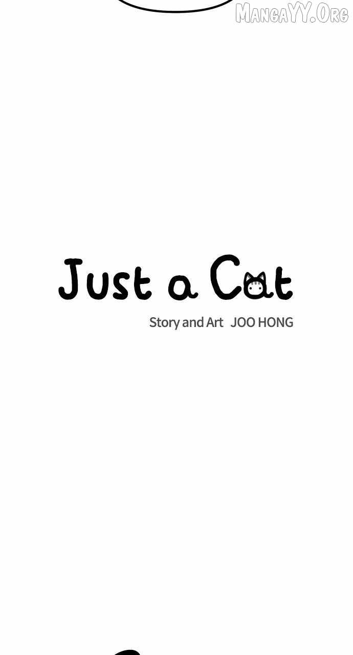 Read Just a Cat Manga Online