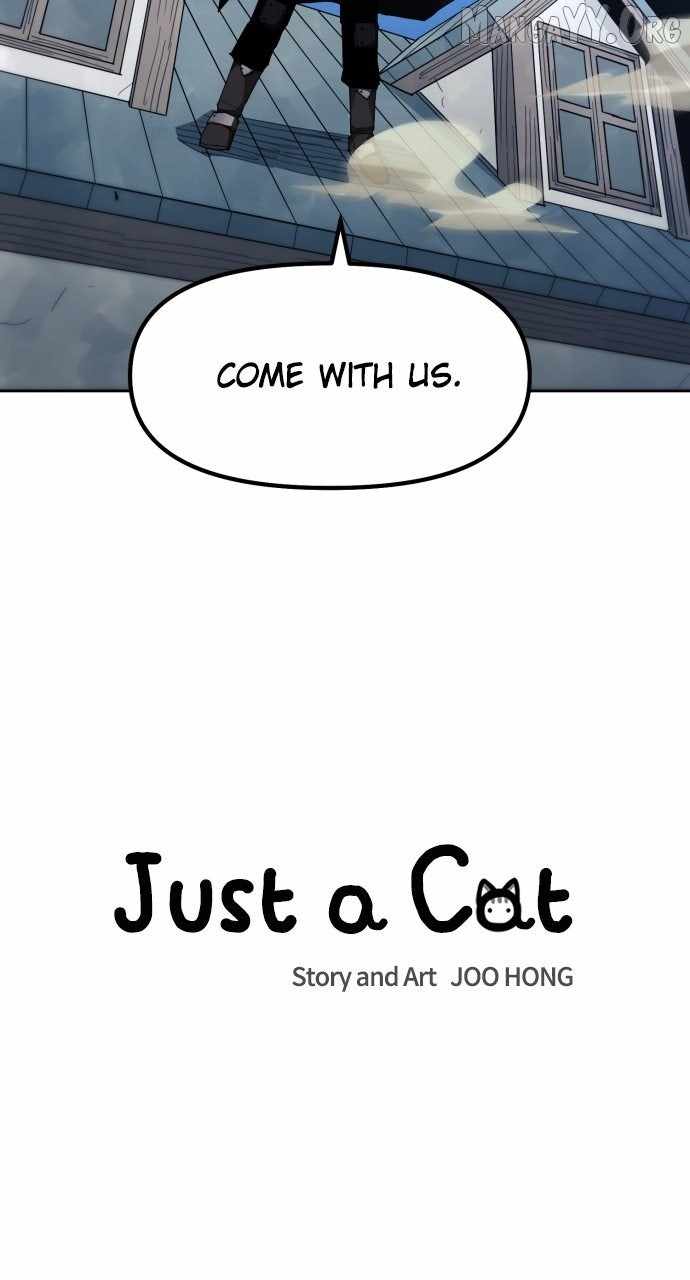 Read Just a Cat Manga Online