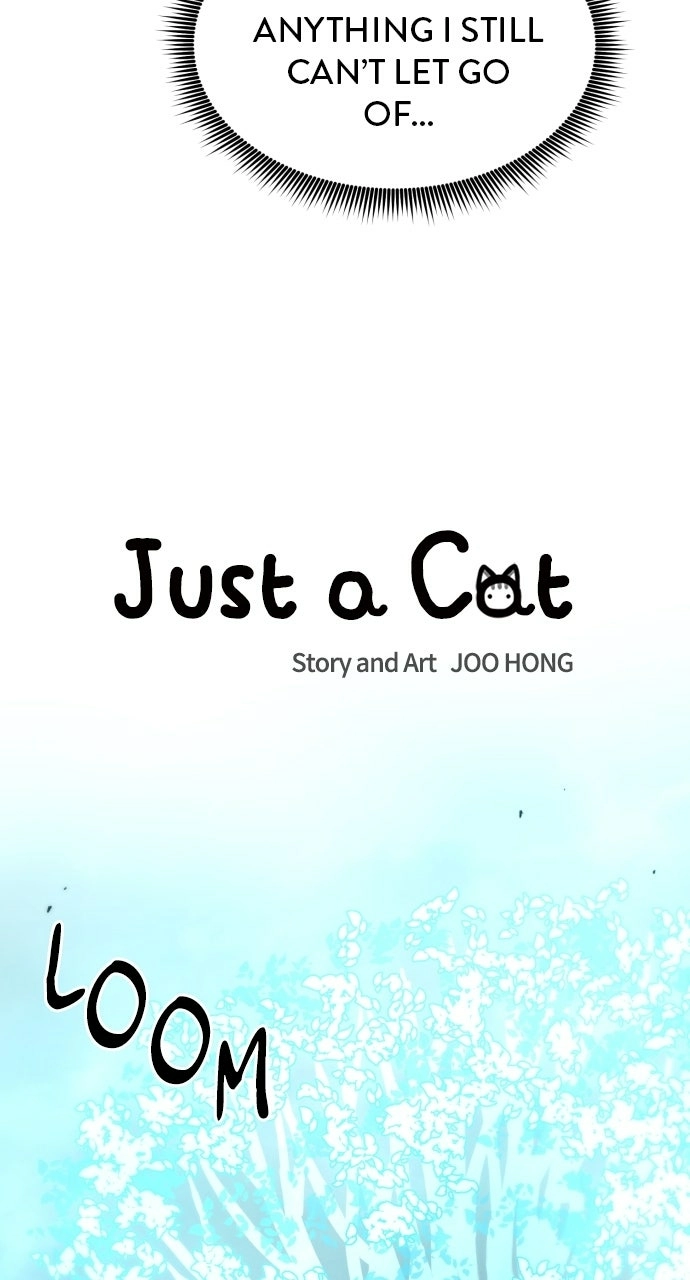 Read Just a Cat Manga Online