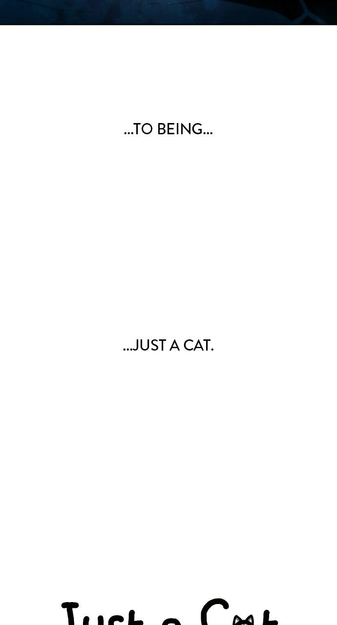 Read Just a Cat Manga Online