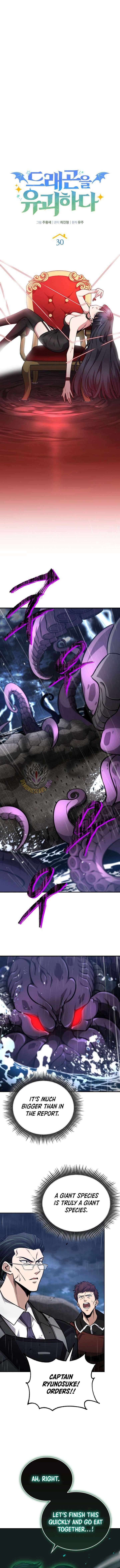 Read Kidnapped Dragons Manga Online