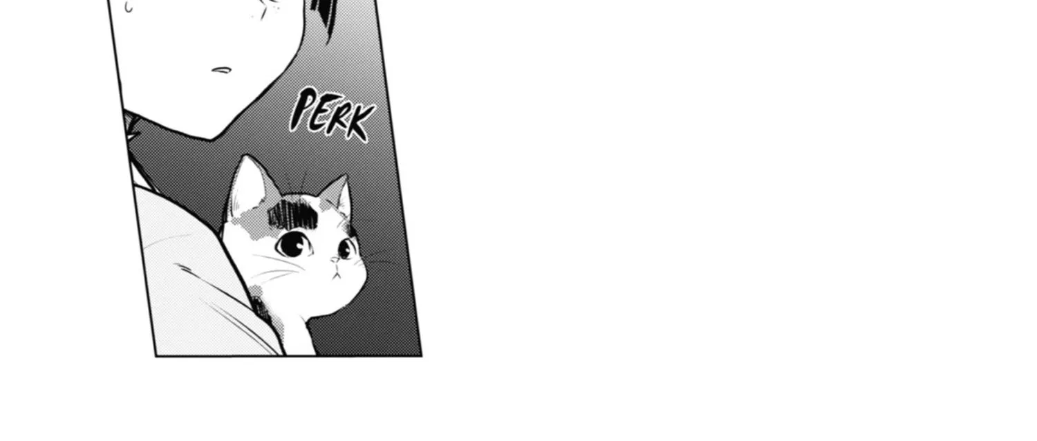 Read Kusuriya No Hitorigoto Manga Online