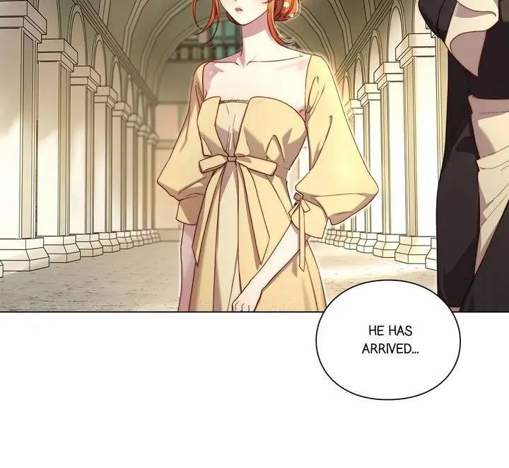 Read Lucia Manga Online