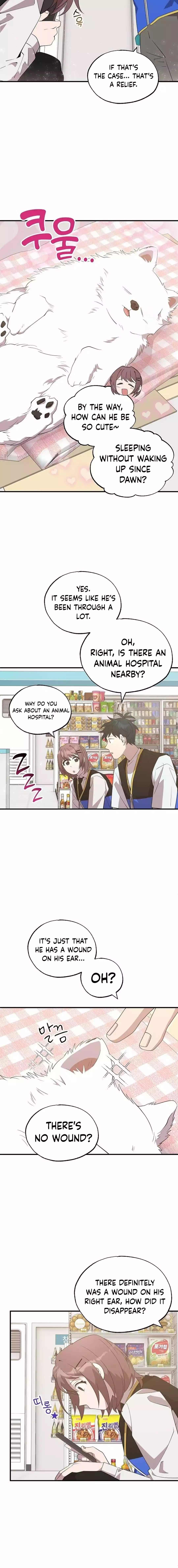 Read Magical Realm Shopkeeper Manga Online