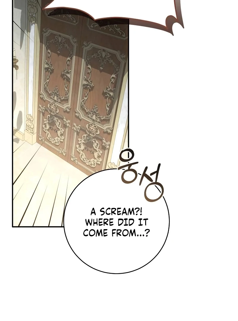 Read My Husband Was Stolen Twice Manga Online