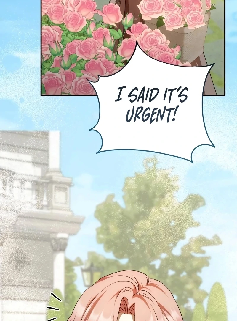Read My Husband Was Stolen Twice Manga Online