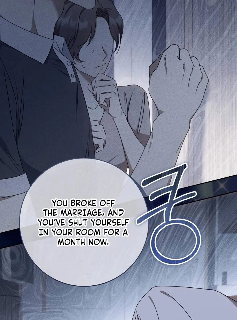 Read My Husband Was Stolen Twice Manga Online