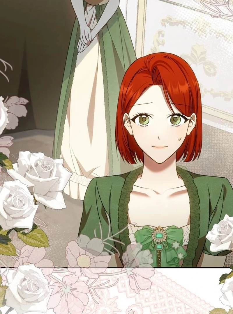 Read My Husband Was Stolen Twice Manga Online
