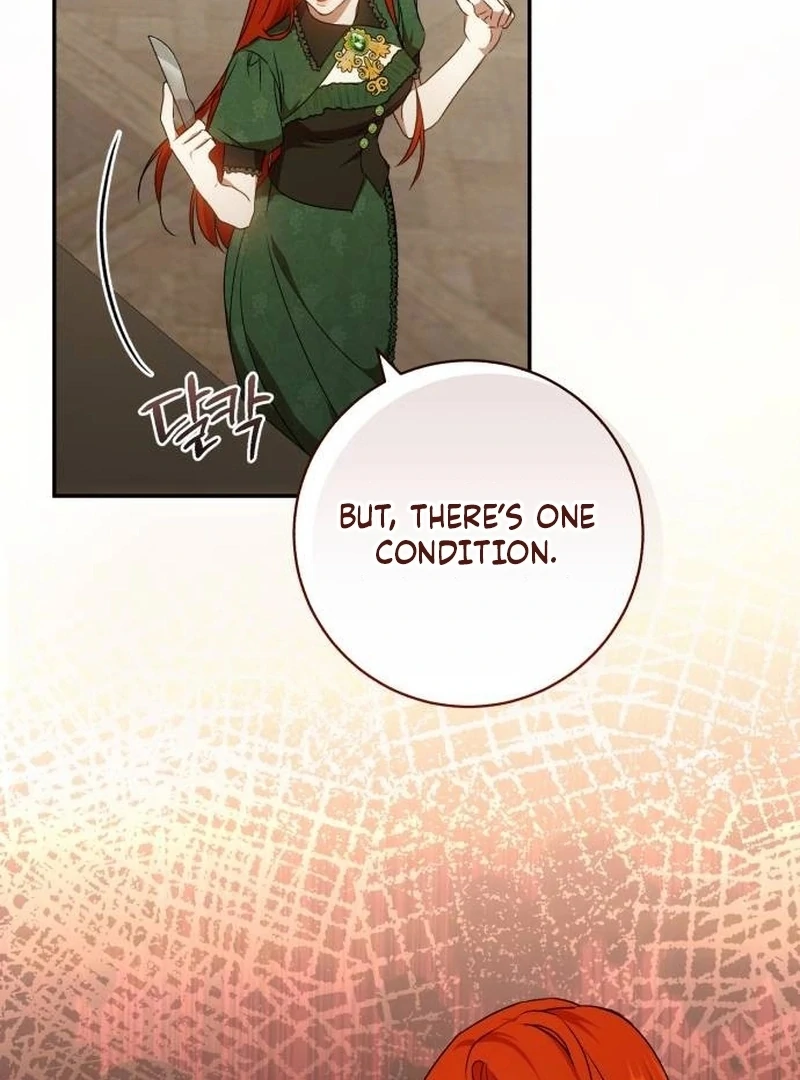 Read My Husband Was Stolen Twice Manga Online