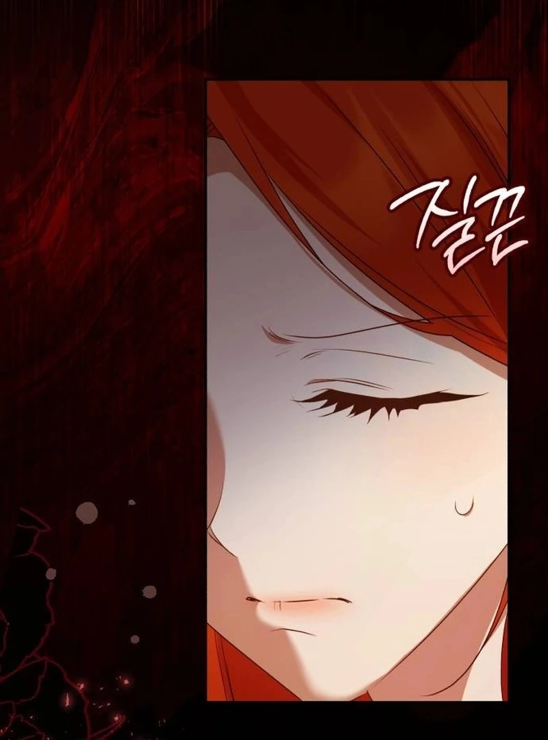 Read My Husband Was Stolen Twice Manga Online