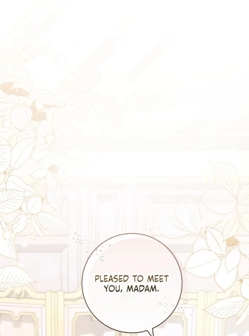 Read My Husband Was Stolen Twice Manga Online