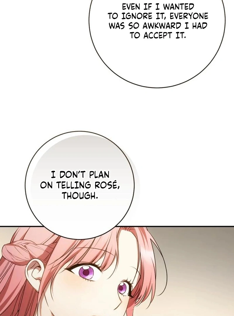 Read My Husband Was Stolen Twice Manga Online