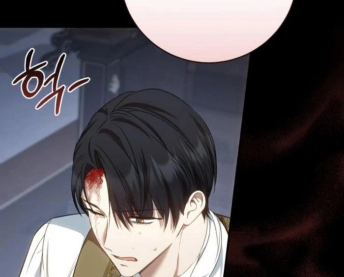 Read My Husband Was Stolen Twice Manga Online