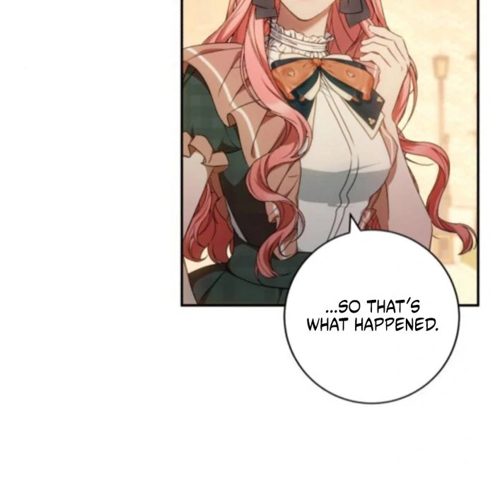 Read My Husband Was Stolen Twice Manga Online