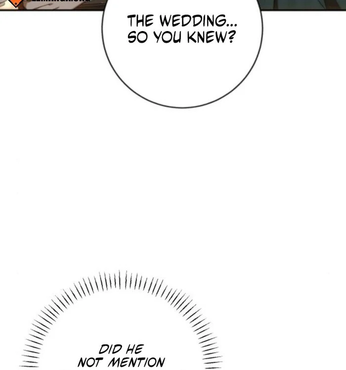 Read My Husband Was Stolen Twice Manga Online