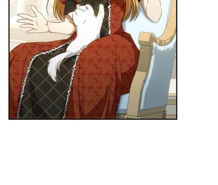 Read My Husband Was Stolen Twice Manga Online