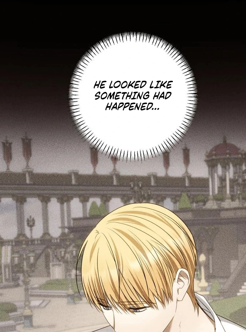 Read My Husband Was Stolen Twice Manga Online