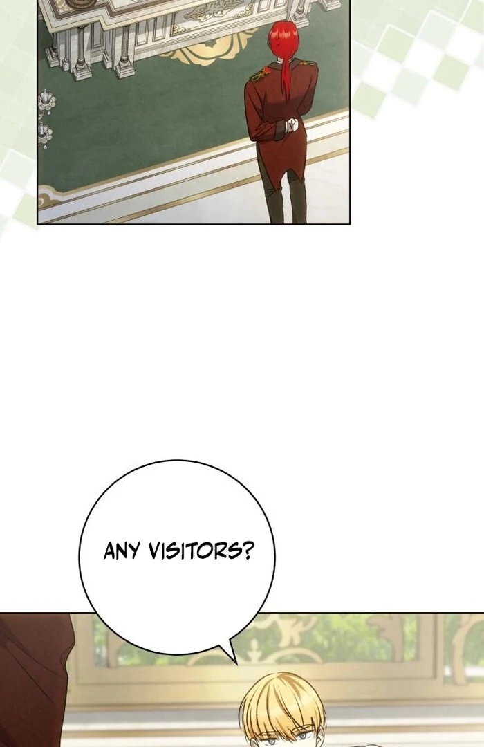 Read My Husband Was Stolen Twice Manga Online