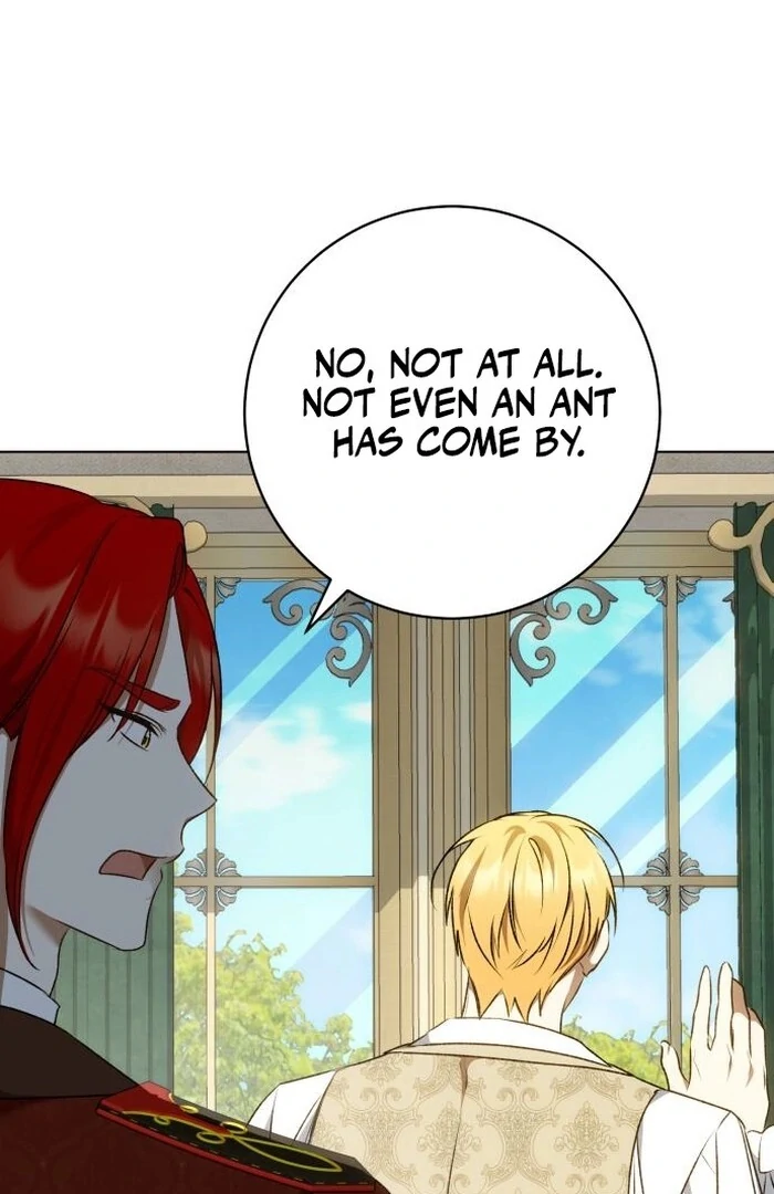 Read My Husband Was Stolen Twice Manga Online