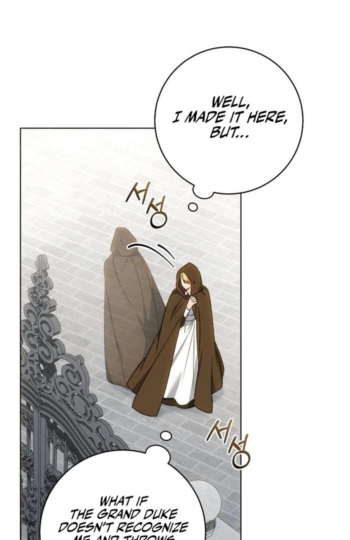 Read My Husband Was Stolen Twice Manga Online