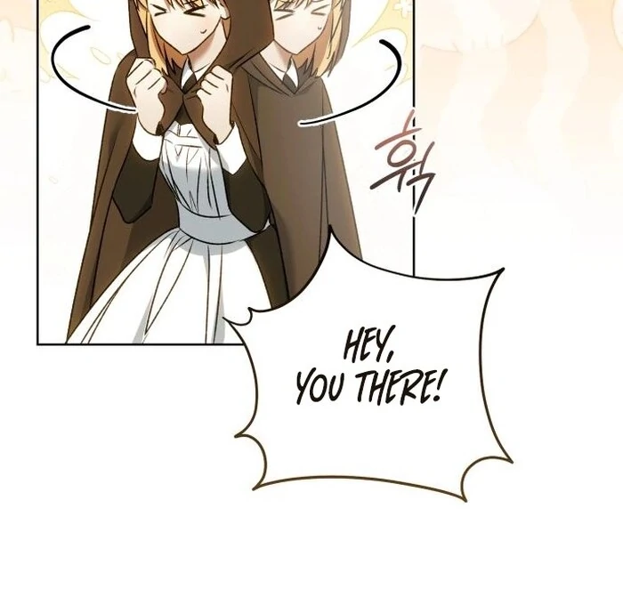 Read My Husband Was Stolen Twice Manga Online