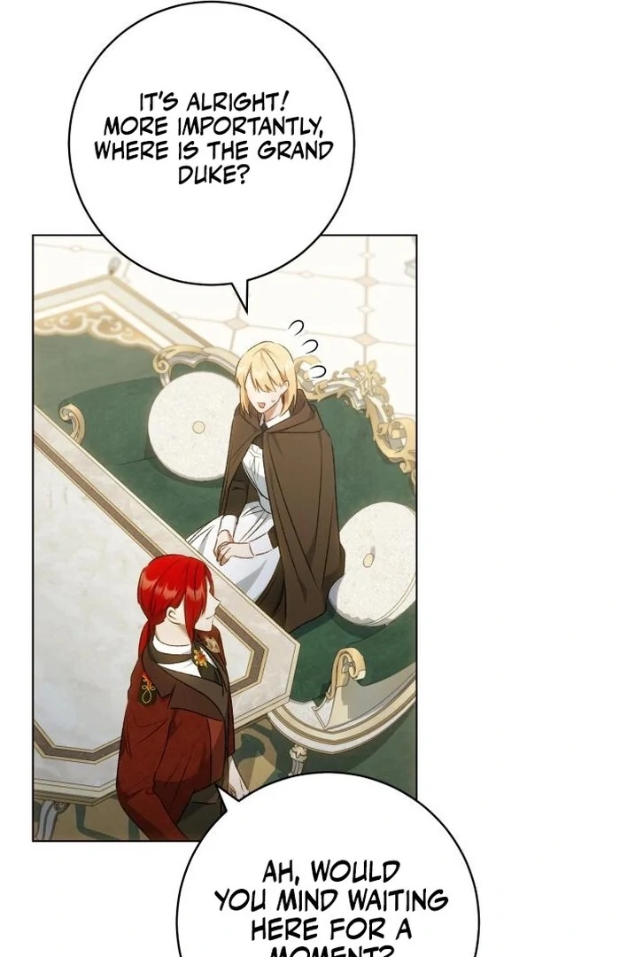 Read My Husband Was Stolen Twice Manga Online