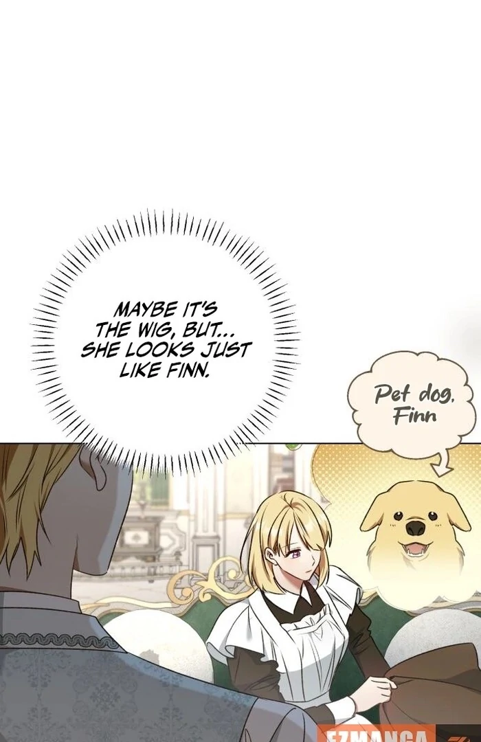 Read My Husband Was Stolen Twice Manga Online